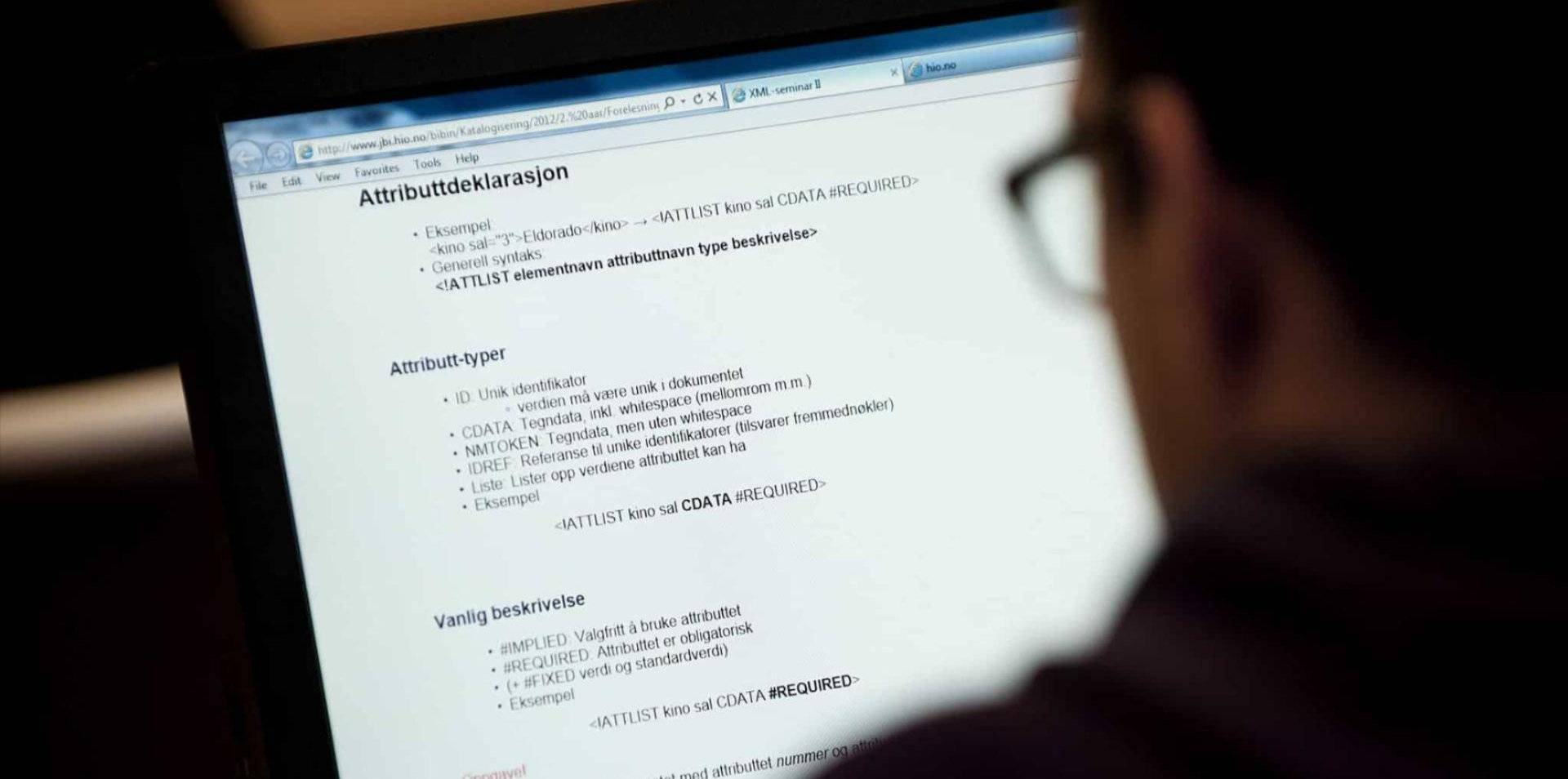 ryggen på en person og en dataskjerm med metadatabeskrivelse
